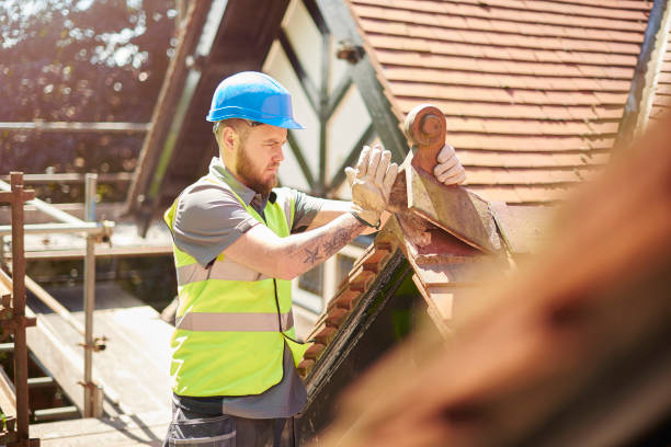 Professional Roofing Contractor in South Chicago Heights, IL