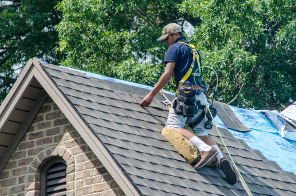 Best Residential Roofing Contractor  in South Chicago Heights, IL